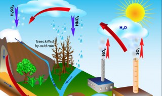 酸雨产生的原因 酸雨产生的原因是哪些气体