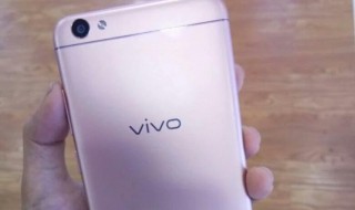 vivoY75A支持多大的储存卡（vivoy75怎样用内存卡储存）