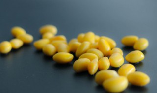 黄豆的功效与作用禁忌又是什么 黄豆功效和禁忌