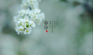 春分过后气温一般多少度 春分天气多少度