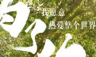 哪个电影主演有娟子2017演的电影（娟子电视剧电影）