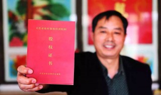 村里发的股权证是什么 村里发的股权证是什么意思