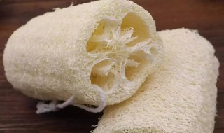 丝瓜络的功效与作用吃法（丝瓜络的功效与作用吃法大全）