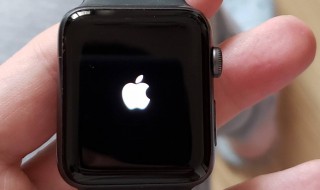 苹果手表忘记密码怎么办 苹果手表忘记密码怎么办一直显示连接不到