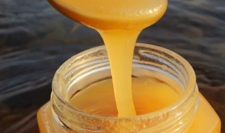 蜂糖的功效与作用 野蜜蜂糖的功效与作用