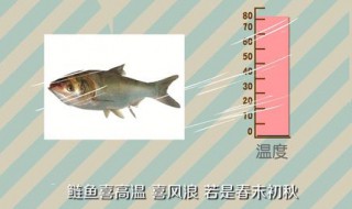 钓白鲢绝招 野钓白鲢鱼技巧