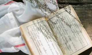 广寒仙子是什么意思（广寒仙子百度百科）