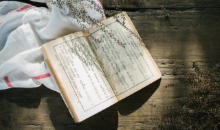 抱薪救火是什么意思（抱薪救火是什么意思成语故事）