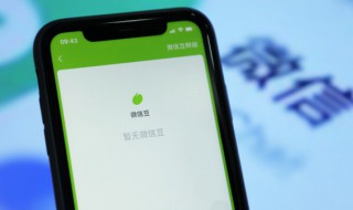 iphone动态壁纸怎么弄（口袋壁纸iphone动态壁纸怎么弄）