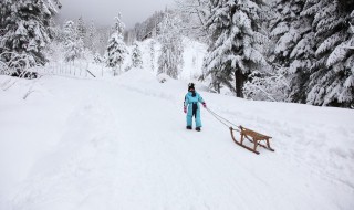 关于咏雪的名句（关于咏雪的名句,有诗人有诗名）