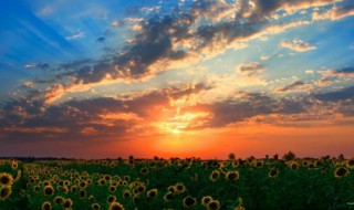 远景作用 大远景和远景的作用