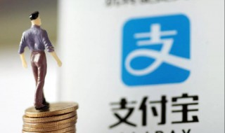 为什么我的支付宝没有帮助功能（为什么我的支付宝没有帮助功能呢）