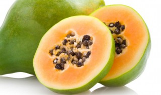 木瓜可以炖什么（木瓜可以炖什么汤最好）