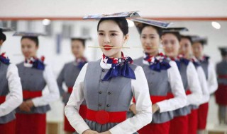 礼仪的概念（礼仪的概念不包括）