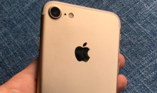 iPhone7小白点怎么开启（苹果7怎么开启小白点）