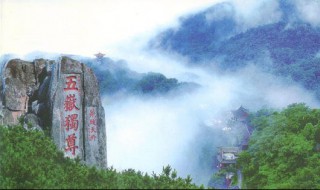 青岛到泰山多少公里（青岛到泰山多少公里时间）