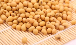 黄豆的营养价值及功效与作用（黄豆的营养价值及功效与作用是什么）