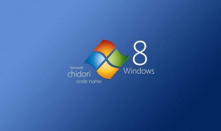 win8系统内置管理员无法打开浏览器（windows内置管理员无法打开）