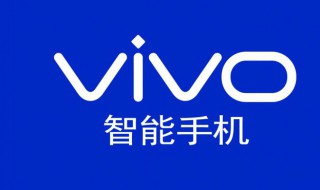 vivox21a能单独换外屏吗（vivox21i换外屏）