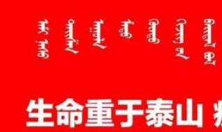 支付宝的湖北健康码有什么用 湖南支付宝健康码是什么样的