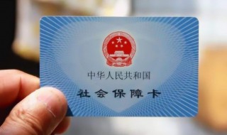 社保当月的是当月交吗 社保当月的是当月交吗怎么查