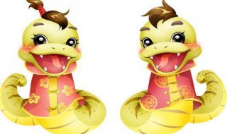 蛇蛋的营养价值及功效与作用（蛇蛋的营养价值及功效与作用图片）