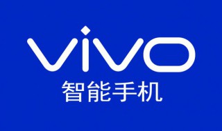 vivo手机驾驶模式有什么用（vivo手机驾驶模式有什么用处）