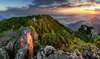 九月九日忆山东兄弟的山指的是（九月九日忆山东兄弟的山指的是哪里）