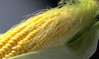 玉米须有什么作用和功效 玉米须有什么作用和功效剧