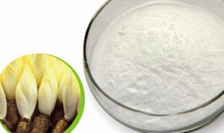 菊粉是什么功效与作用 巧克力中菊粉是什么功效与作用
