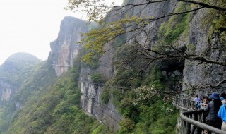 金佛山门票 金佛山门票免费政策