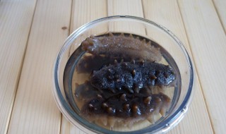 怎样才能泡好海参 怎么样泡海参