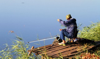 11号鱼钩能钓多大的鱼（12号鱼钩钓多大鱼）