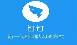 不打开钉钉会被监控吗 钉钉在不使用情况下会不会监控