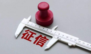 信用卡逾期多久会上征信（信用卡逾期多久会上征信会影响孩子上学吗）