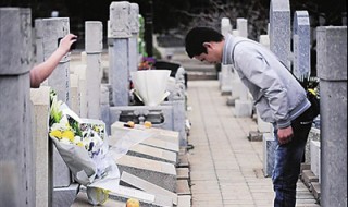 清明祭祀内容（清明祭祀内容活动感受）