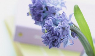 励志正能量句子早安心语 励志正能量句子早安心语图片