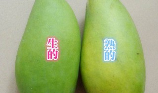 芒果怎么催熟（芒果怎么催熟最快方法）