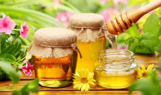 蜂蜜和什么不能一起吃 吃蜂蜜有什么好处和功效