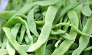 芸豆的播种深度（芸豆种植多深）