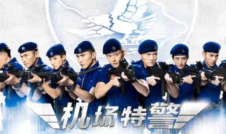 机场特警电视剧演员表（机场特警剧情简介）