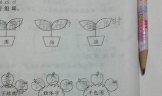 三包围和半包围的区别（三包围和半包围的区别～百度百科）