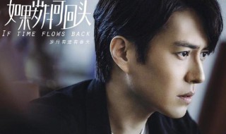 靳东如果岁月可回头一共多少集 电视剧如果岁月能回头靳东主演每集给多少钱拍摄的
