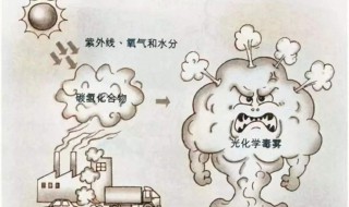 汽车尾气能够引起光化学烟雾吗（汽车尾气能够引起光化学烟雾吗为什么）