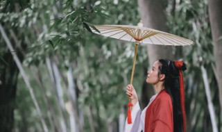 烟雨人间什么意思 烟雨人间啥意思