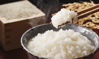 米饭蒸硬了还能再加水蒸吗 米饭蒸硬了还能再加水蒸吗