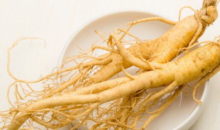 人参功效与作用及食用方法（人参的作用与功效及食用方法）