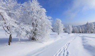 适合雪天自己的心情语录 适合雪天自己的心情语录简短