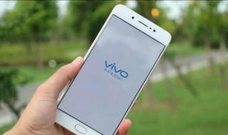 vivo手机能隐藏电话号码么 vivo手机能隐藏电话吗