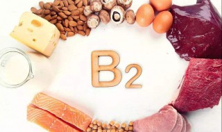 维生素b2的护肤功效与作用（维生素b2的护肤功效与作用及副作用）